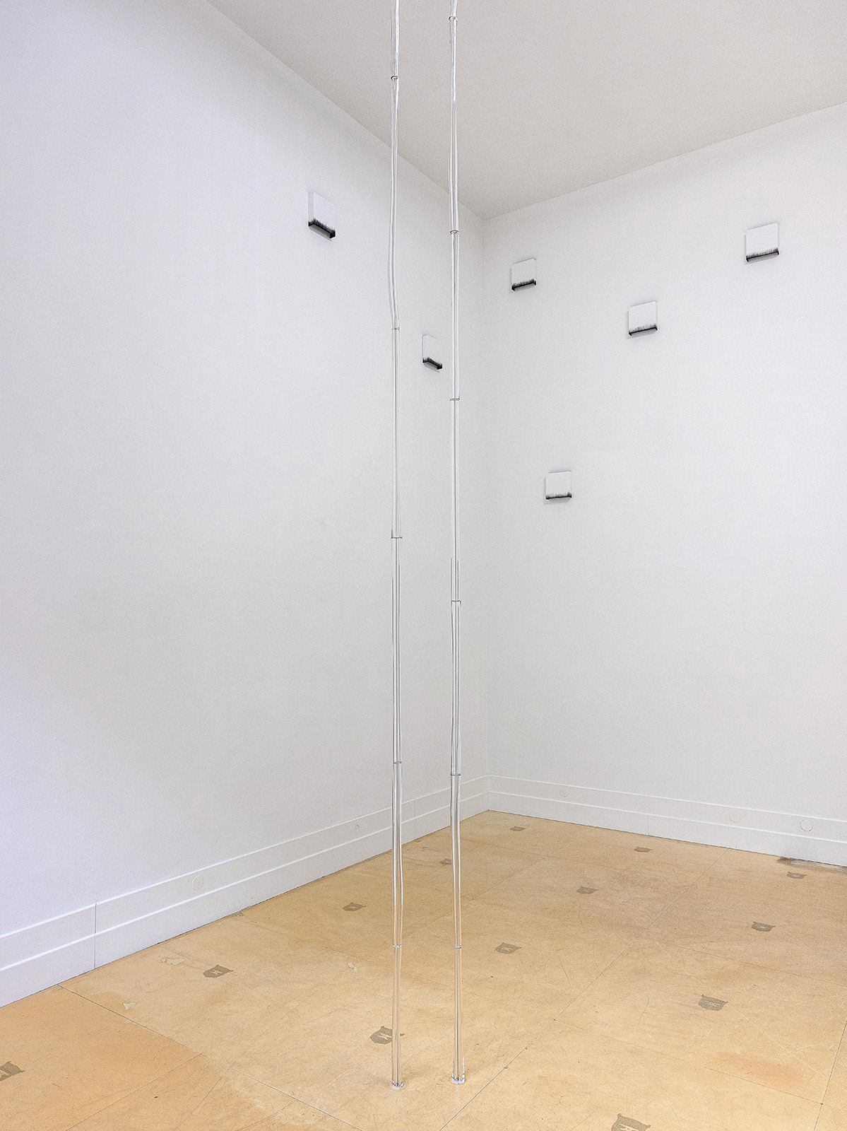 Stephanie Stein – Forget It, Ausstellungsansicht 1